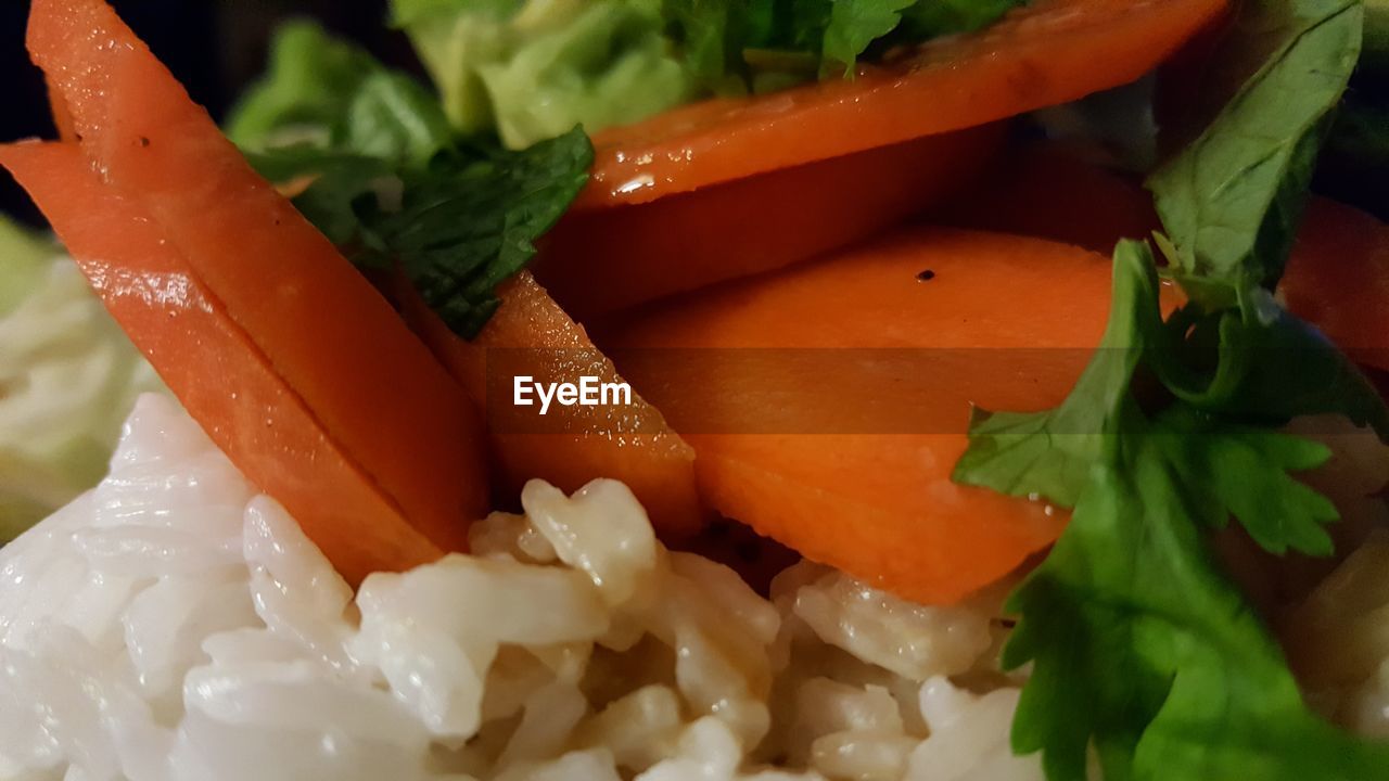 CLOSE-UP OF SUSHI WITH SALAD