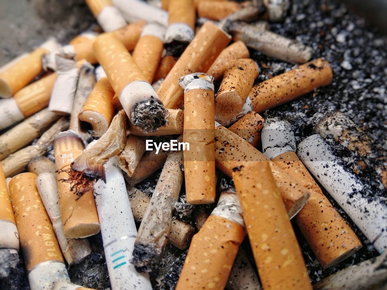 High angle view of cigarette butts