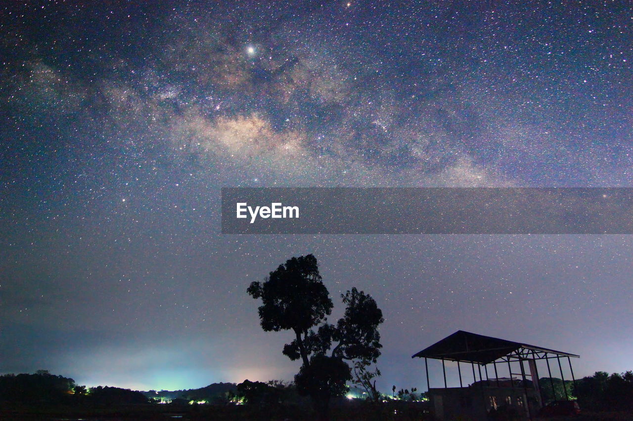 LOW ANGLE VIEW OF TREES AGAINST STAR FIELD