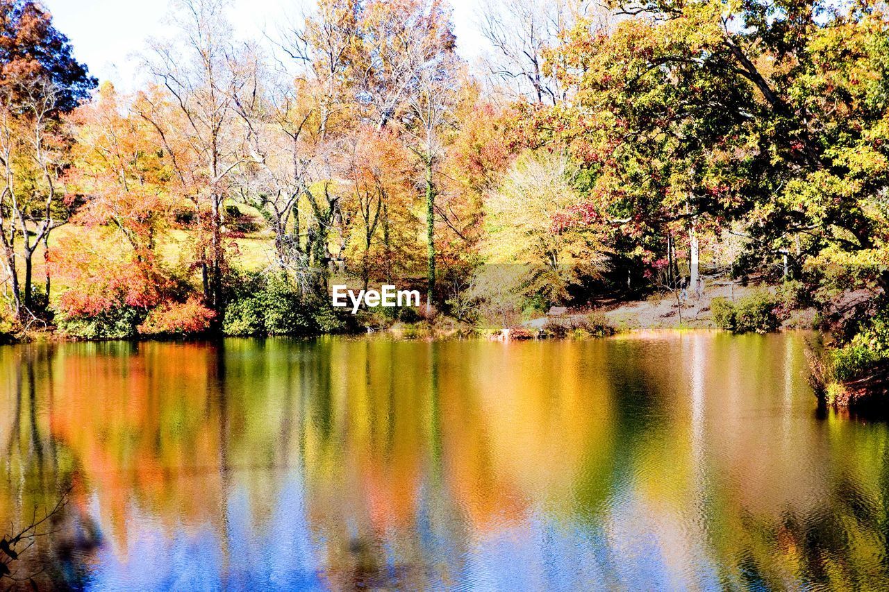 REFLECTION OF TREES IN LAKE AGAINST SKY