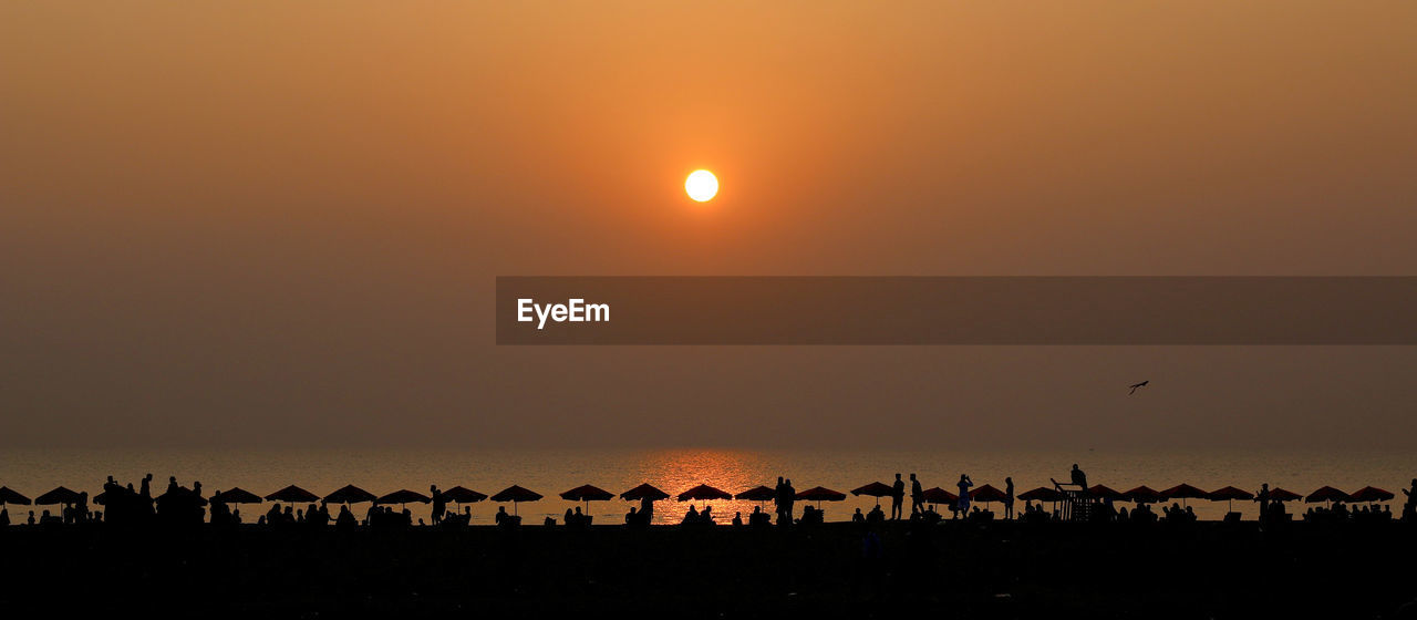 Silhouette birds on landscape against sky during sunset