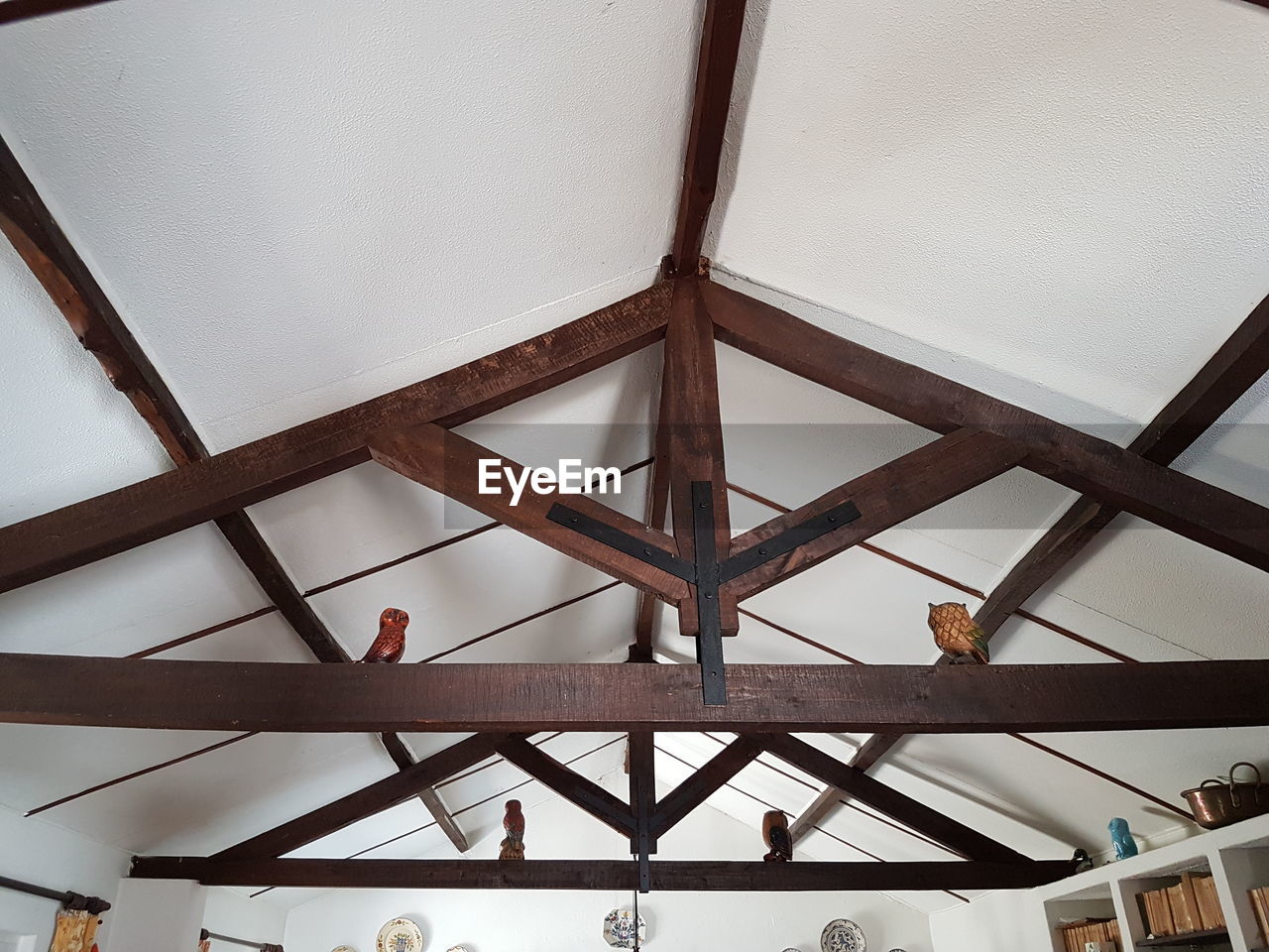 LOW ANGLE VIEW OF BIRD PERCHING ON CEILING