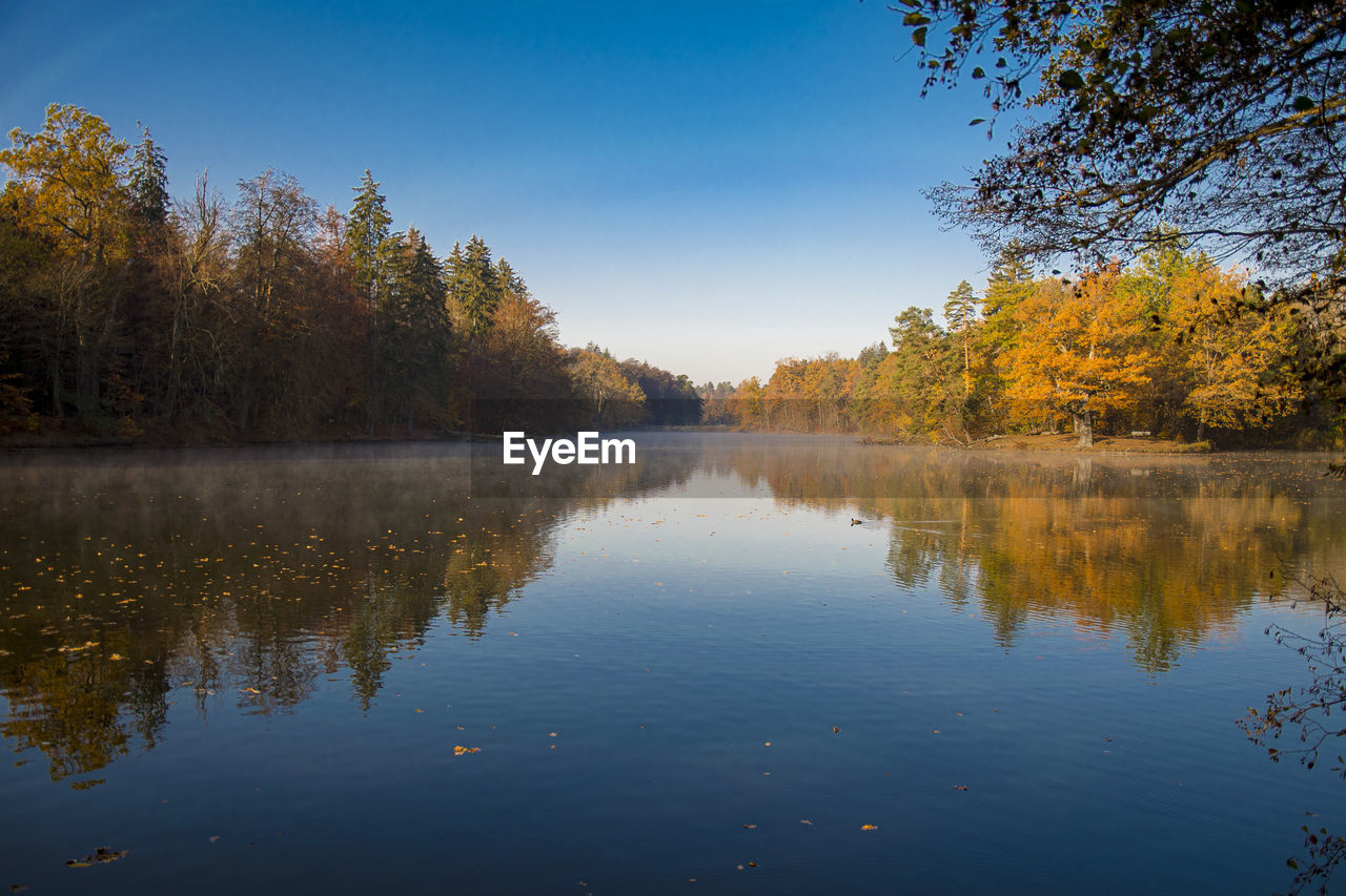 SCENIC VIEW OF LAKE BY TREES DURING AUTUMN