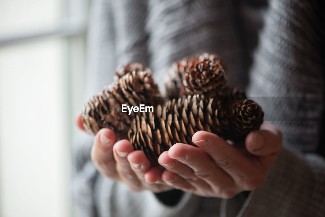 Midsection of woman holding pine cones