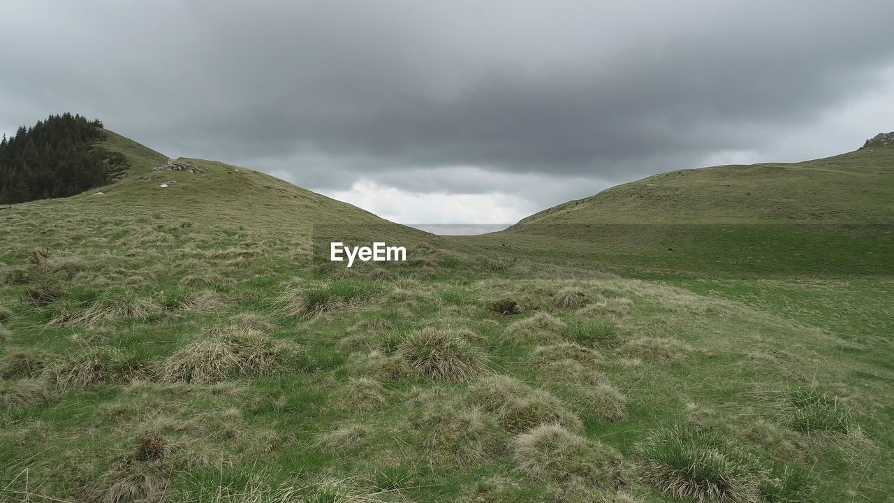 SCENIC VIEW OF LANDSCAPE AND MOUNTAINS AGAINST SKY