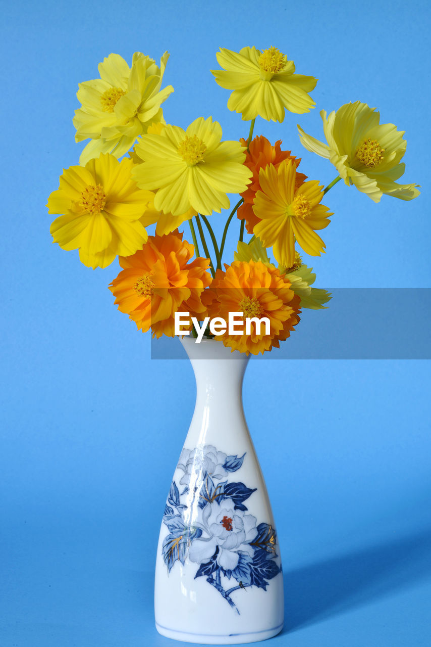 CLOSE-UP OF YELLOW FLOWERS ON VASE