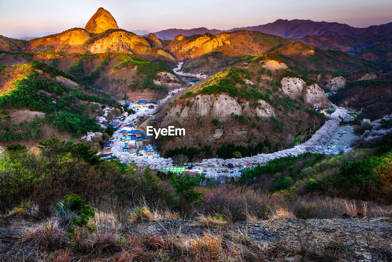 Cherry blossom at mai mountain in jinan-kun,kwang-ju,south korea