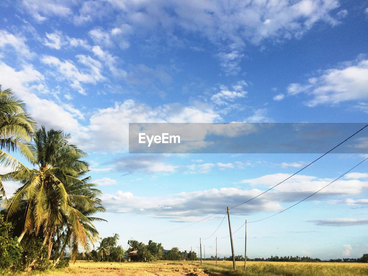 Scenic view of field against cloudy sky