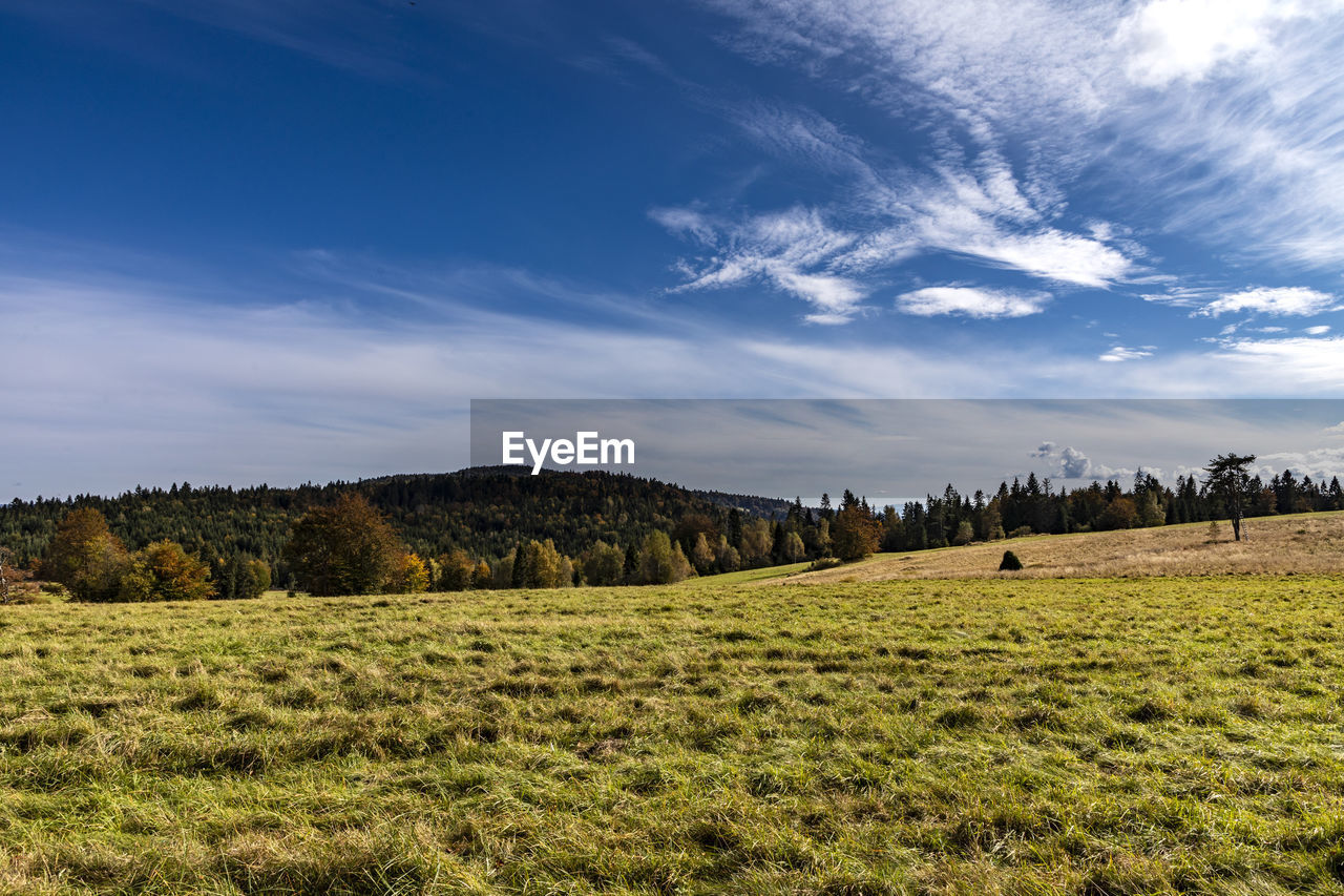 SCENIC VIEW OF LANDSCAPE