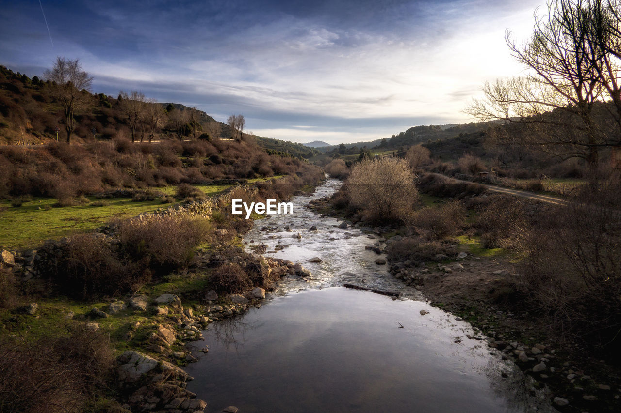 Scenic view of river stream amidst trees against sky