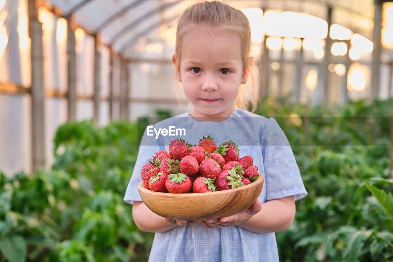 portrait of smiling boy holding strawberries