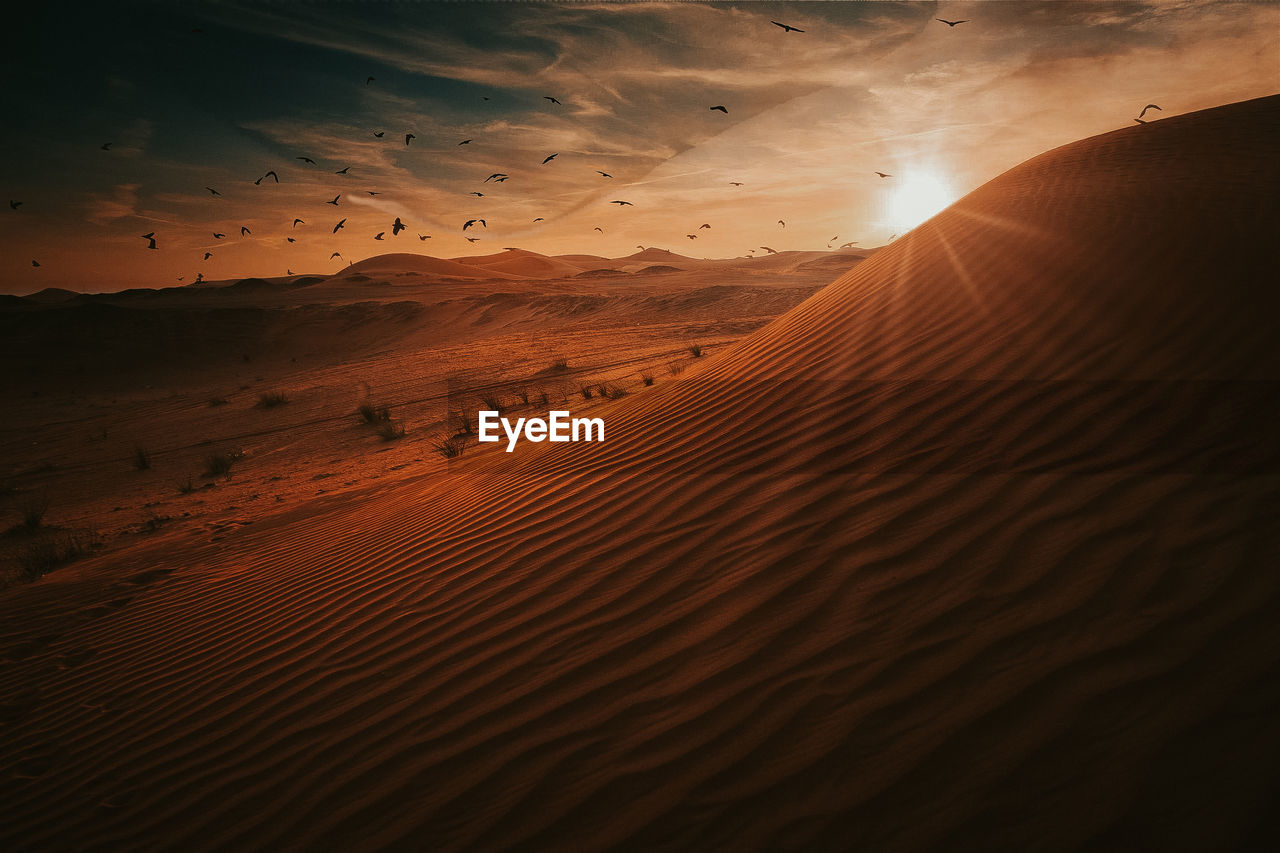 Scenic view of desert against sky during sunset