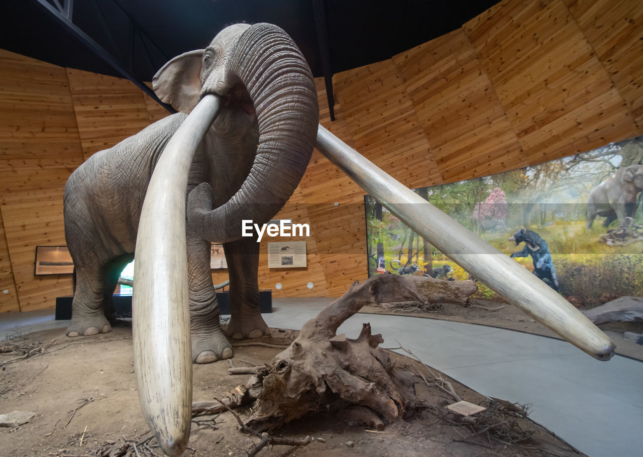 art, sculpture, elephant, mammoth, no people, wood, animal, nature