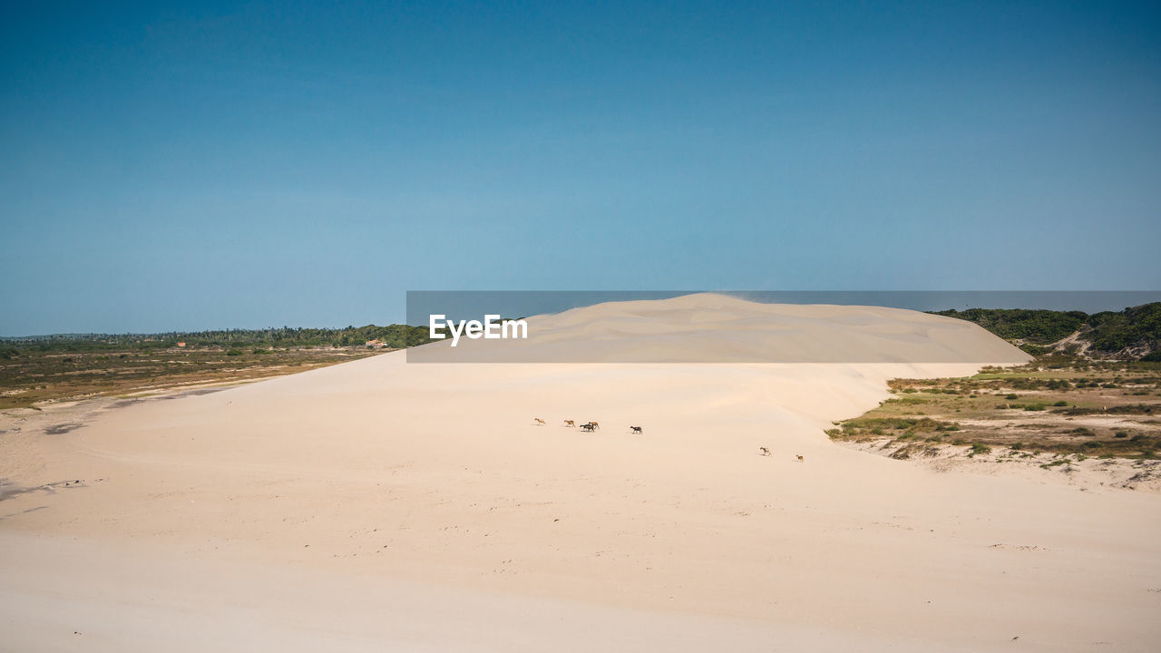 Scenic view of sand dunes against clear sky