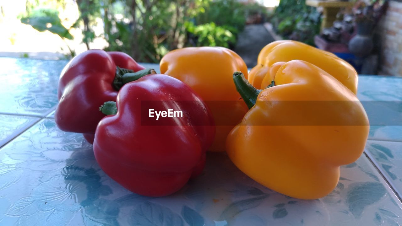 CLOSE-UP OF TOMATOES IN PLATE ON TABLE