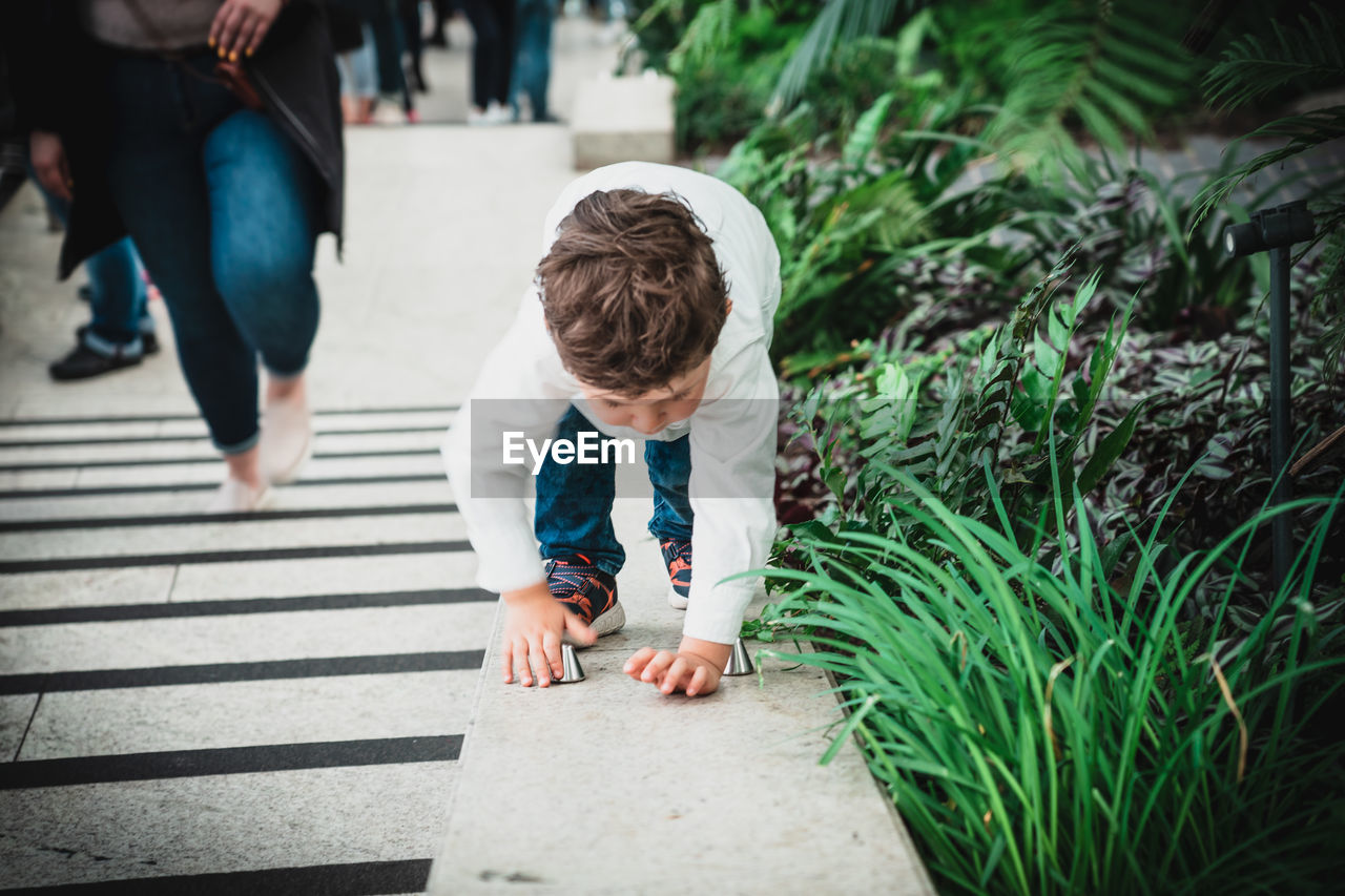 Boy crawling on retaining wall by plants