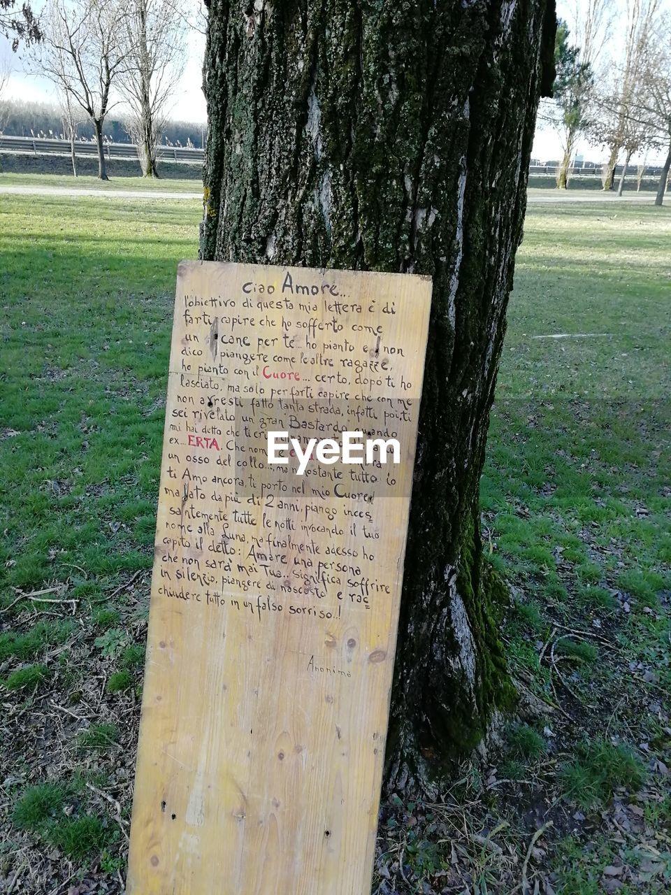 CLOSE-UP OF TEXT ON TREE