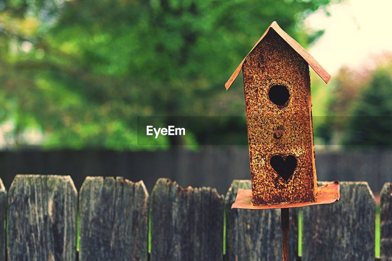 Close-up of bird house against blurred background