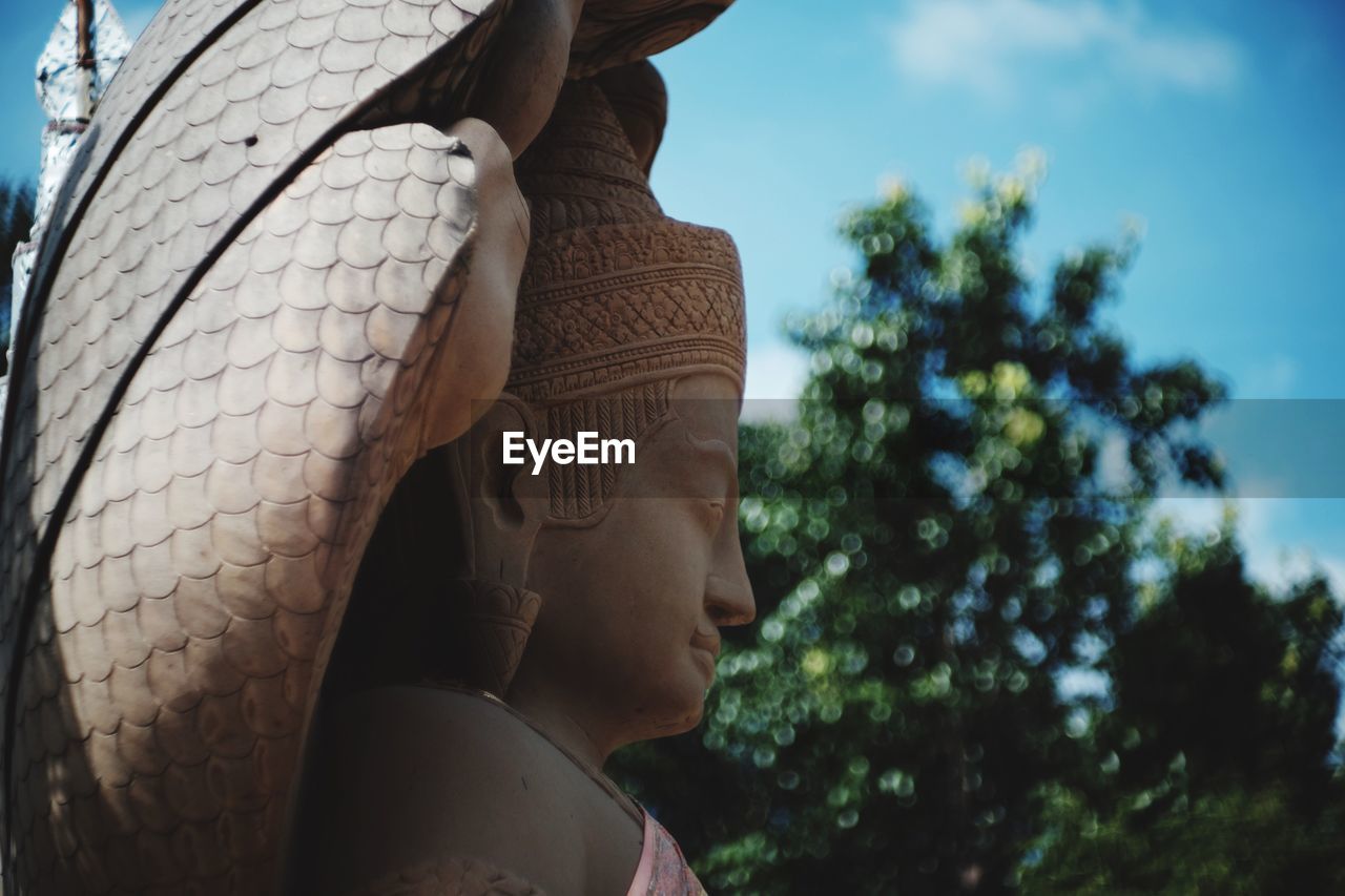 Close-up of buddha statue against trees