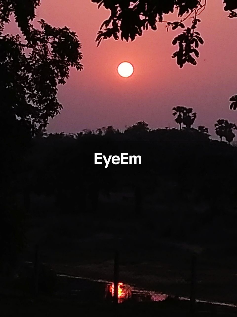 LOW ANGLE VIEW OF SILHOUETTE TREES AGAINST SKY DURING SUNSET