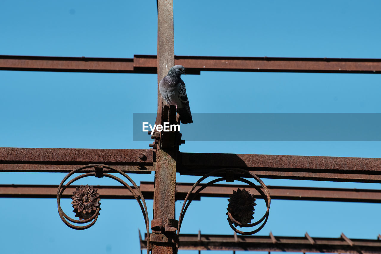 LOW ANGLE VIEW OF METALLIC STRUCTURE AGAINST CLEAR SKY