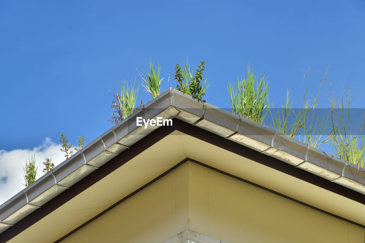 LOW ANGLE VIEW OF BUILDING AND TREES AGAINST SKY