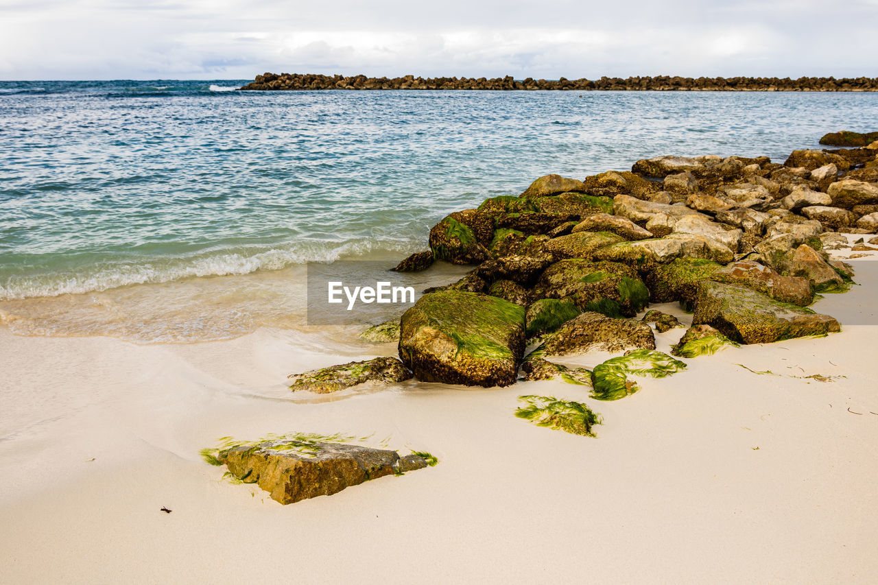 SCENIC VIEW OF BEACH