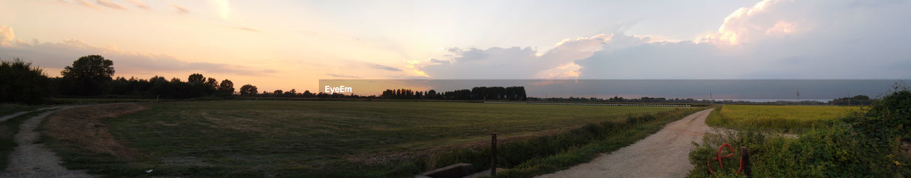 SCENIC VIEW OF RURAL LANDSCAPE