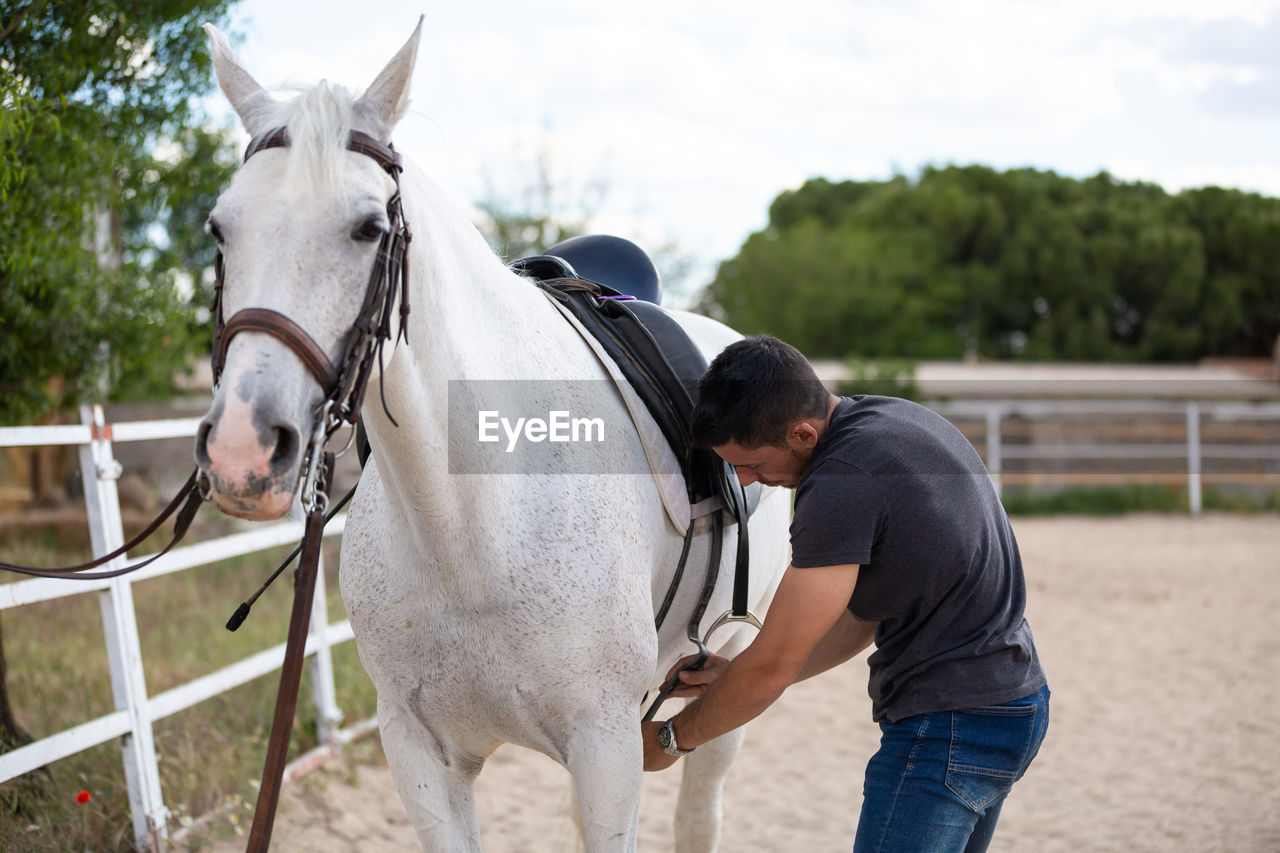 VIEW OF HORSE IN PEN