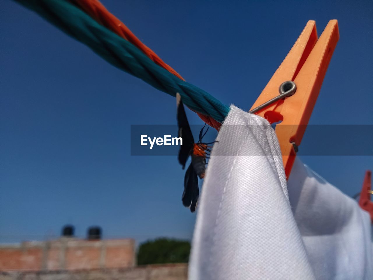 Low angle view of clothes hanging against blue sky