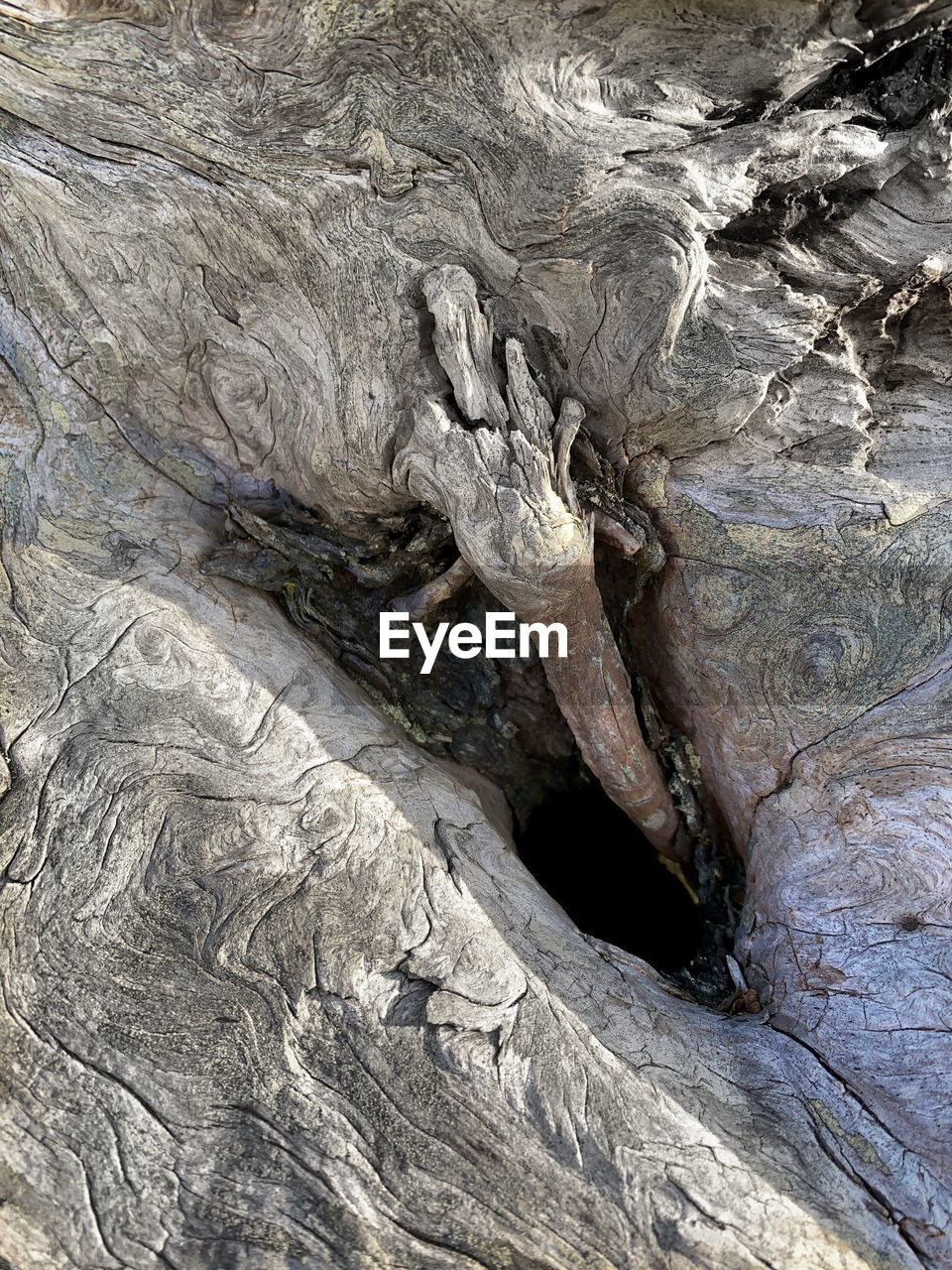 rock, nature, geology, no people, full frame, day, textured, wood, outdoors, backgrounds, tree, land, beauty in nature, close-up, pattern, high angle view, environment, formation, rough, trunk, non-urban scene, rock formation, tranquility