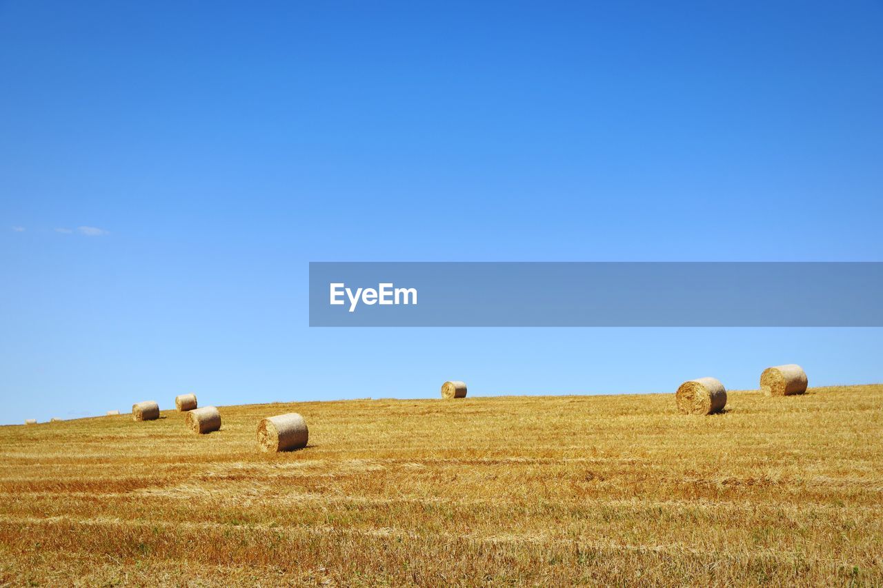 Hay bales on landscape against clear blue sky