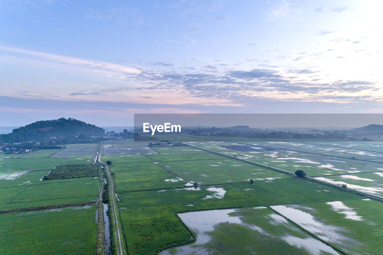 Scenic view of agricultural field against sky