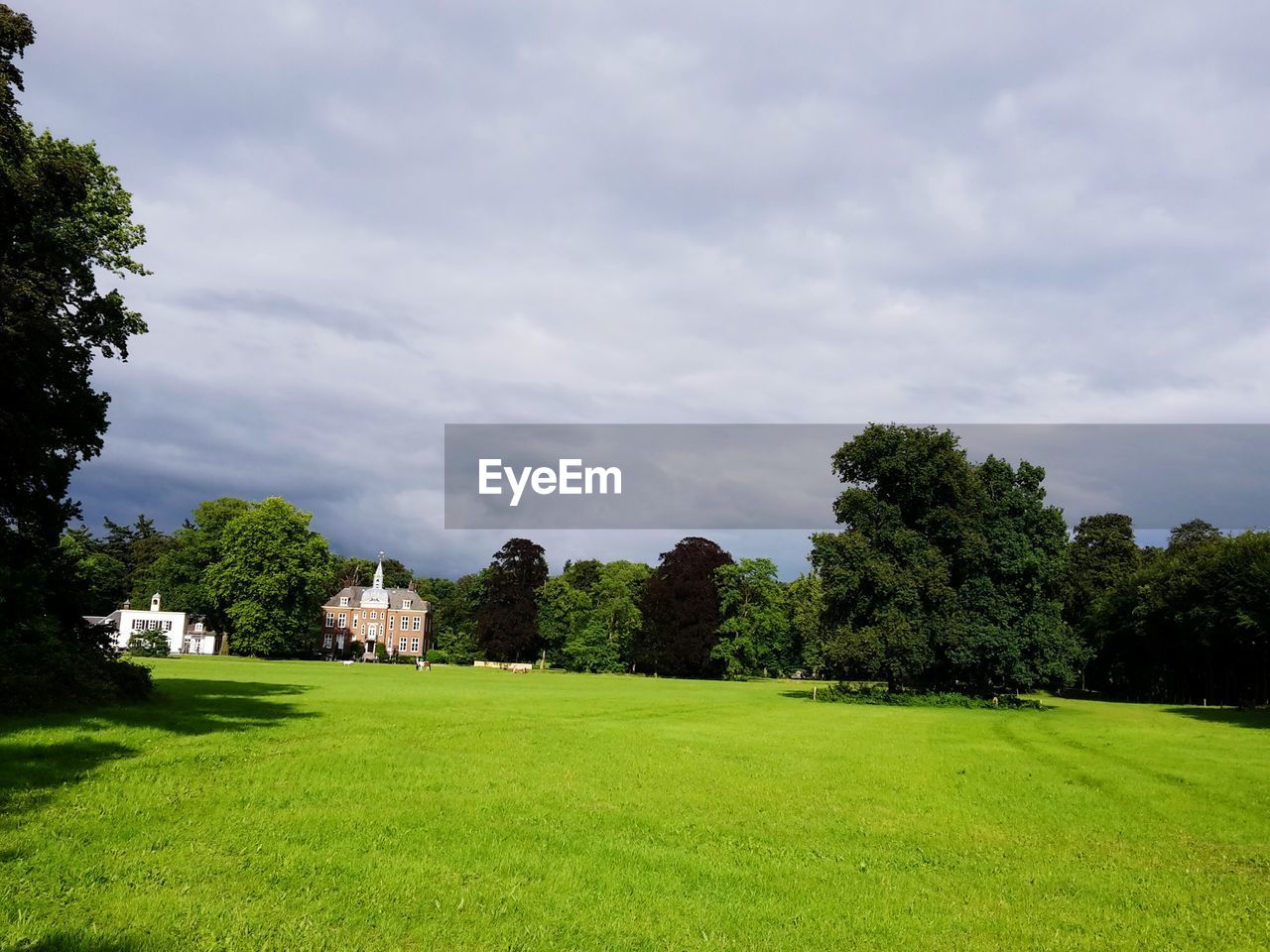 Trees on field against sky