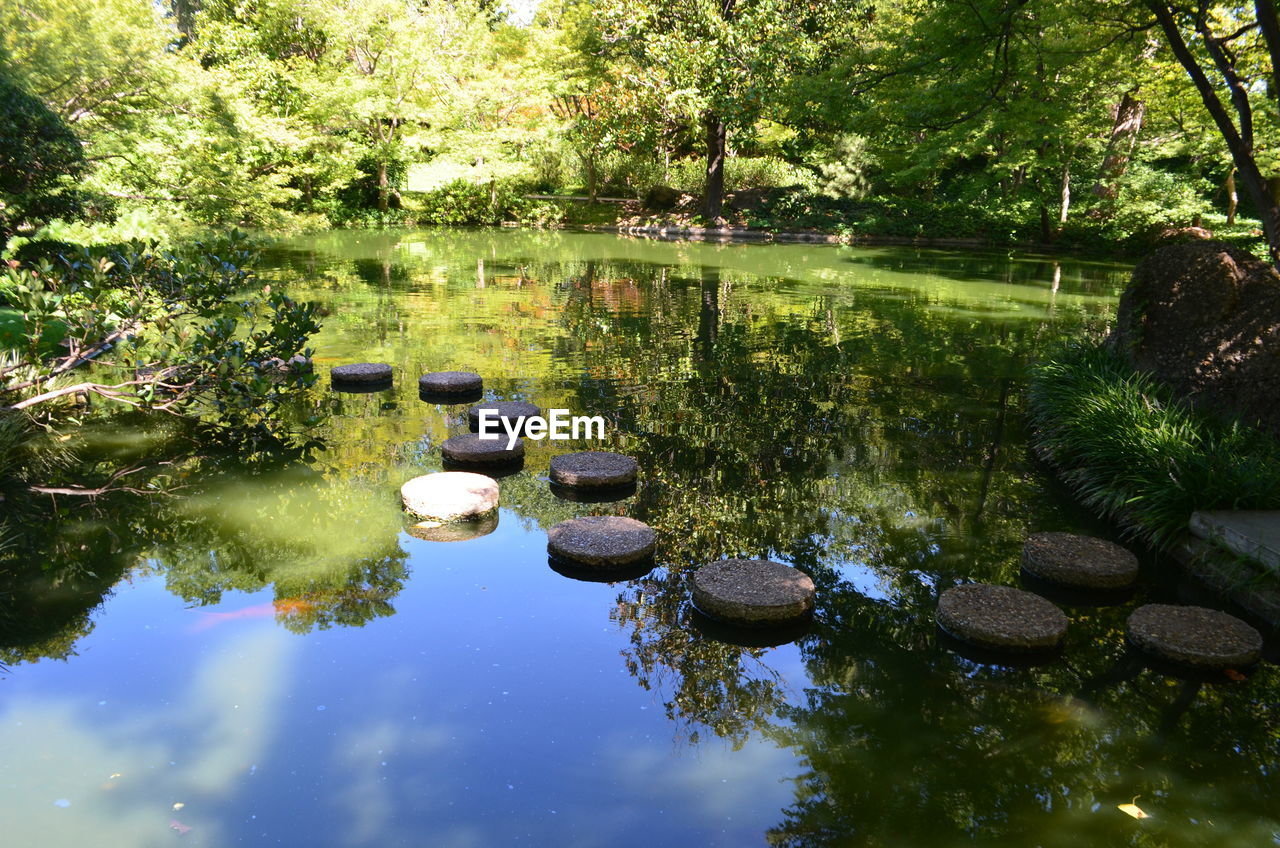 SCENIC VIEW OF LAKE AGAINST TREES