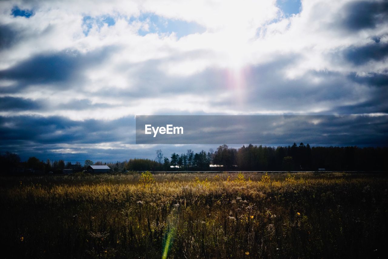 SCENIC VIEW OF FIELD AGAINST SKY DURING SUNSET