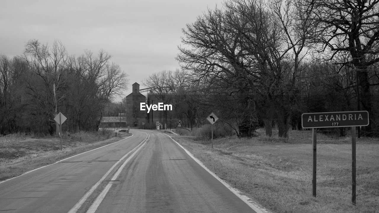 ROAD BY TREES