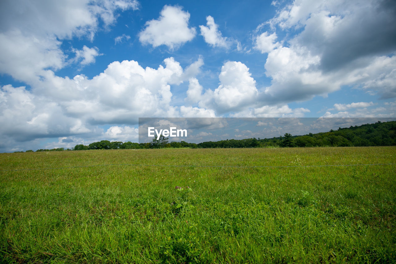 Scenic view of field against sky