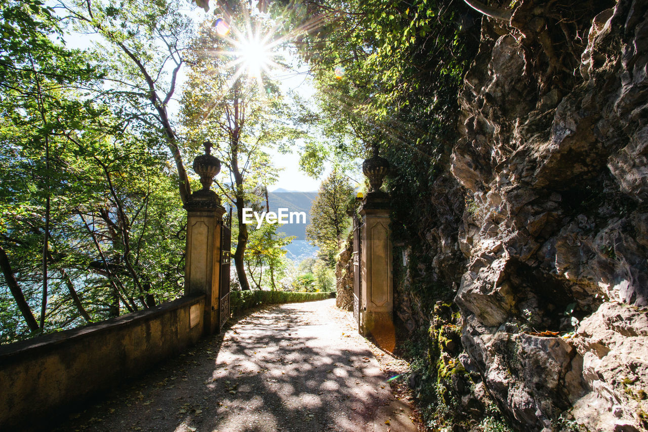 Sun shining through trees on idyllic path on italy's lake como.