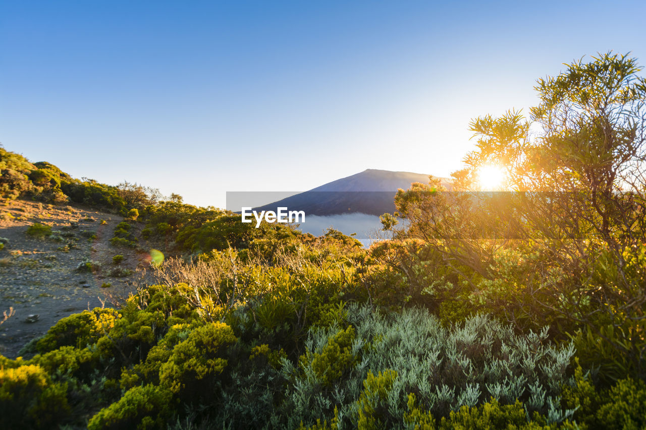 First sunlights of the day and blue sky over dolomieu crater at reunion island