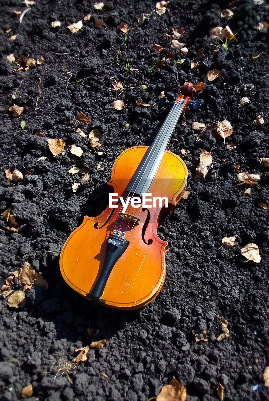 HIGH ANGLE VIEW OF GUITAR ON FIELD