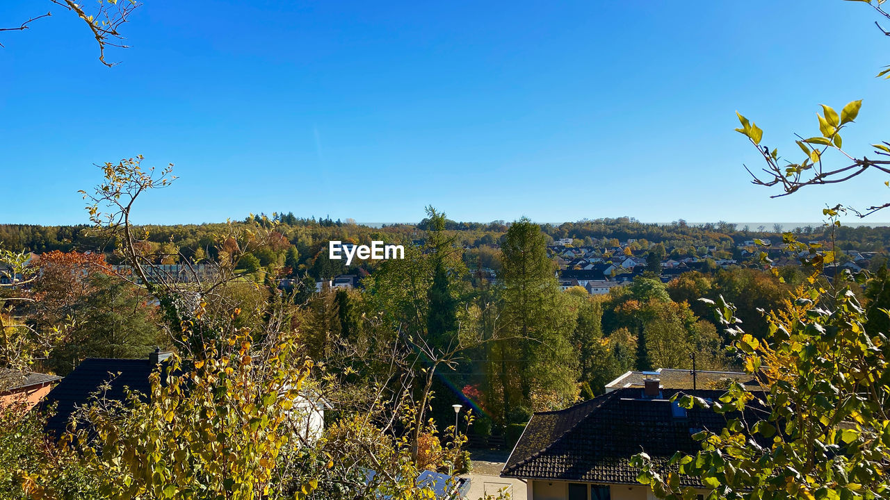 SCENIC VIEW OF FLOWERING PLANTS AND TREES AGAINST SKY