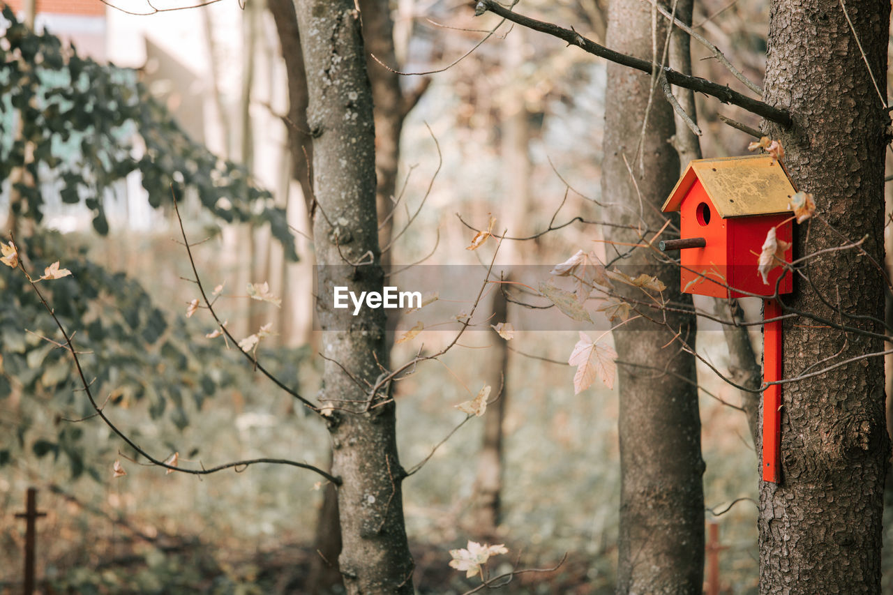 Birdhouse close-up in the forest in autumn