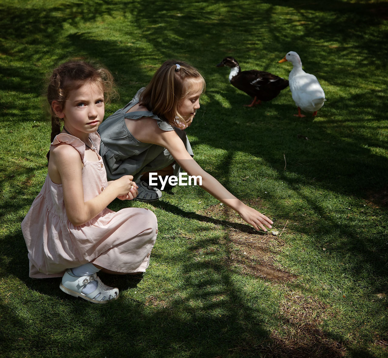 Two girls on grass with ducks 