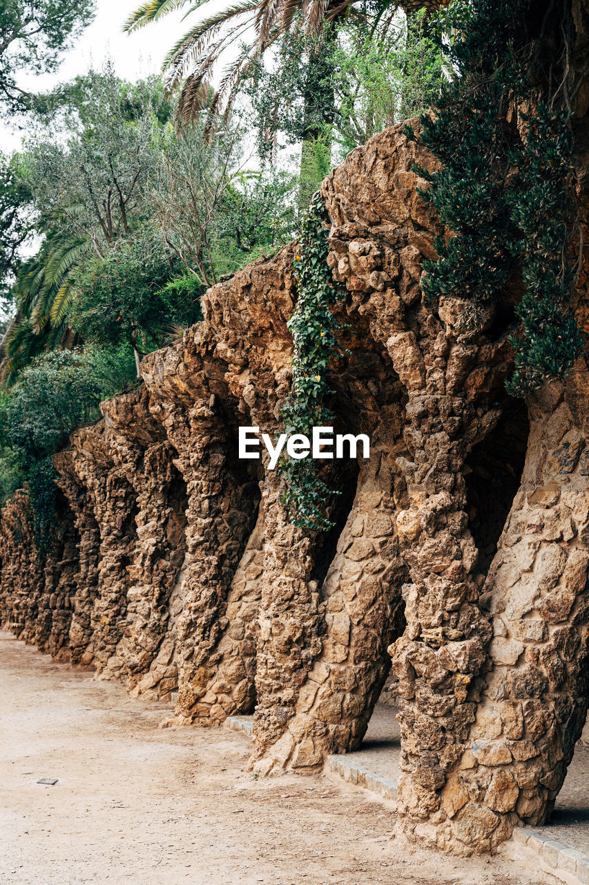 ROCK FORMATION IN FOREST