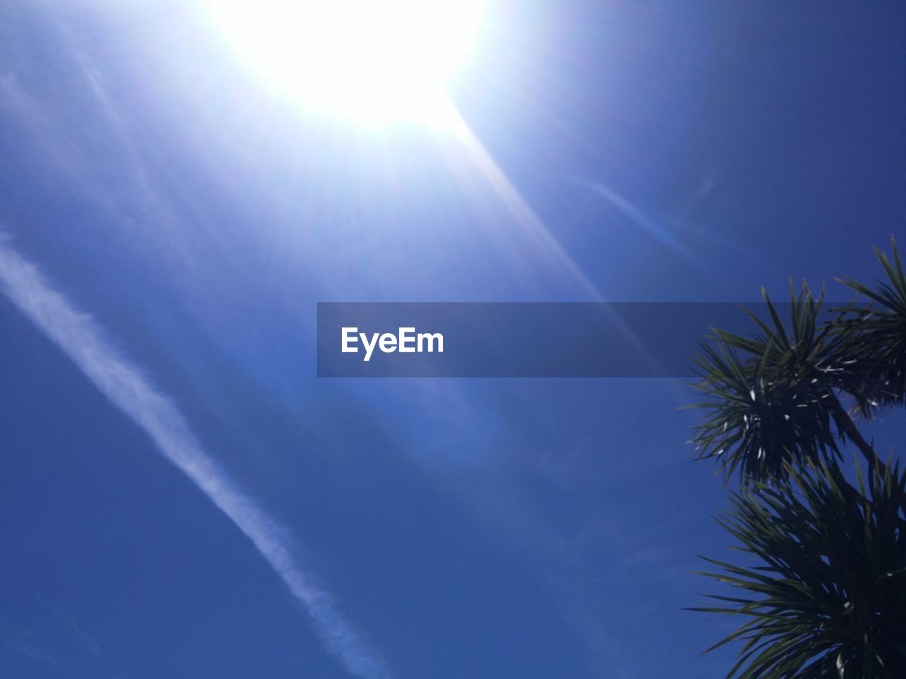 LOW ANGLE VIEW OF VAPOR TRAILS IN SKY