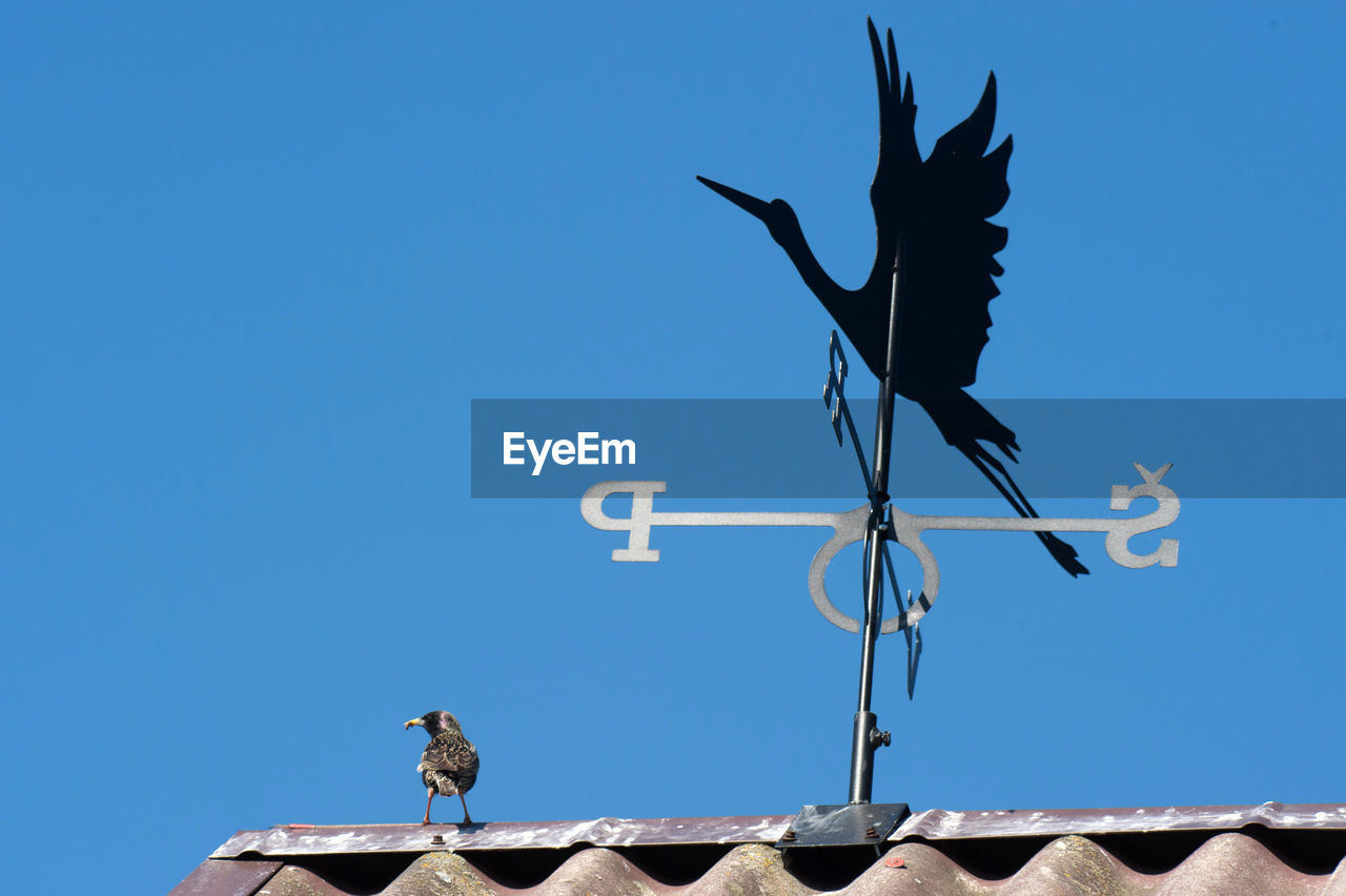 LOW ANGLE VIEW OF WEATHER VANE AGAINST BLUE SKY