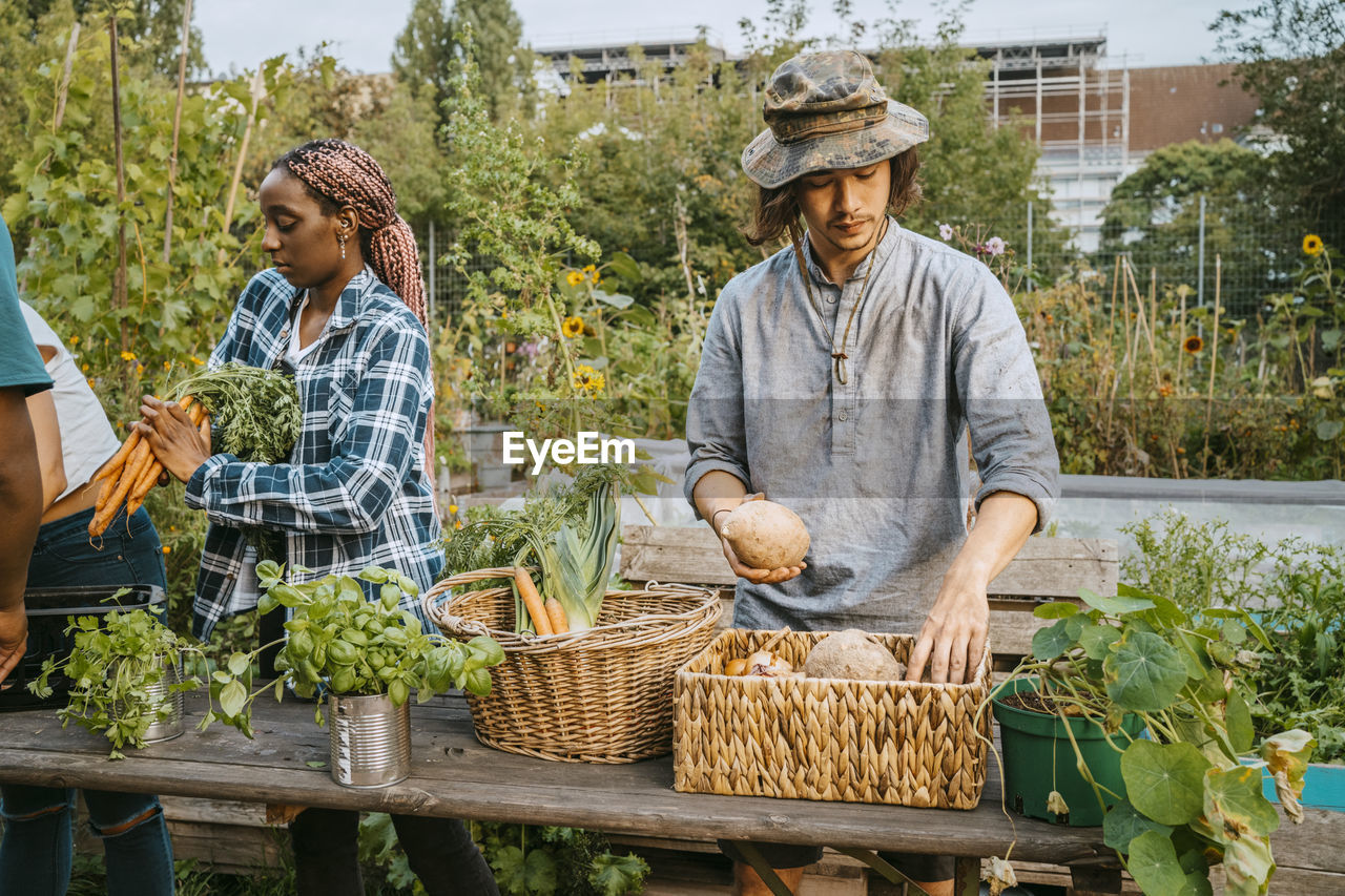 Multiracial male and female farmers selling vegetables in market