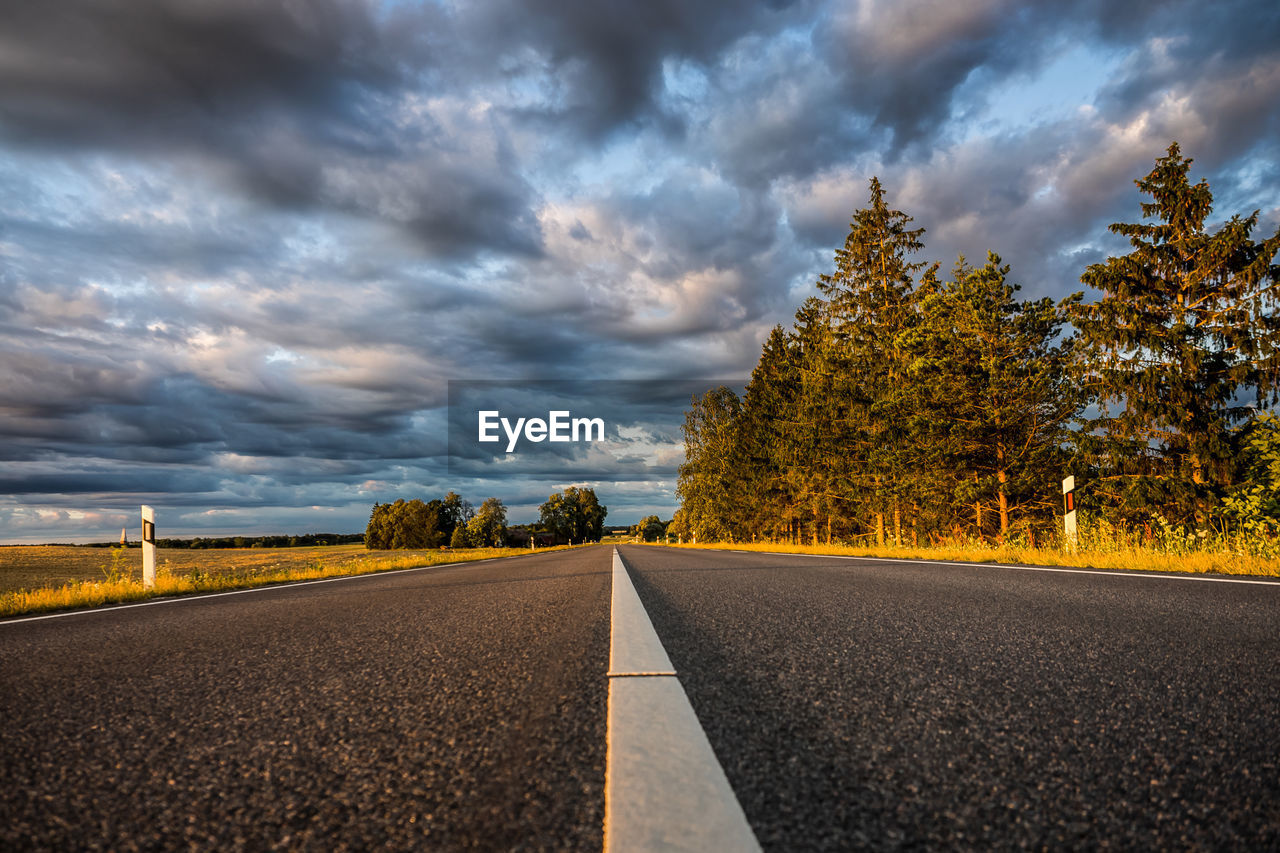 Surface level of road by trees against sky