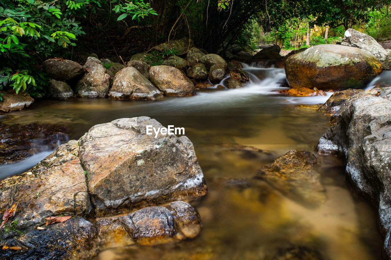 River flowing through rocks in forest